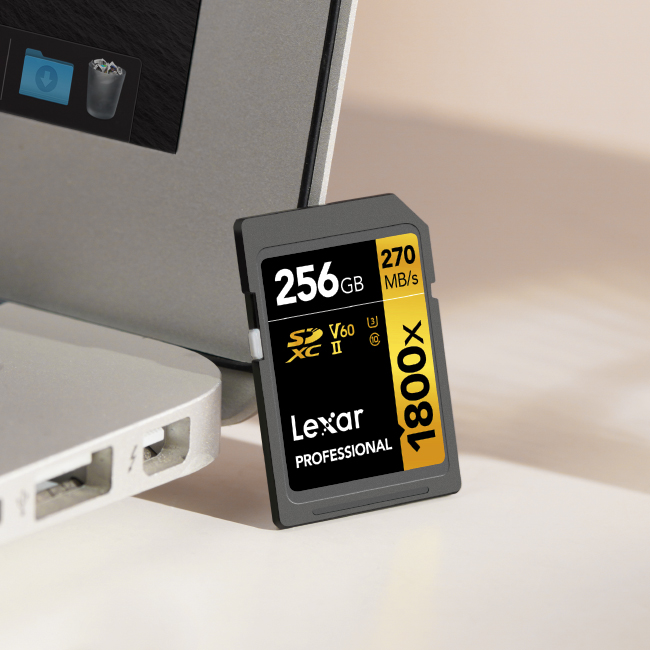 Lexar LSD1800256G-BNNNU 256GB Professional 1800X Class 10 UHS-II U3 Gold  Series SDXC Memory Card