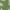 Green, variant on Wsevypo Baby Girl Floral Print V-neck Sleeveless Button Belt Short Romper