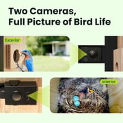 Netvue Birdfy® Bird House with Camera, 1080P Dual-Camera Lifetime AI Identify Bird Nesting and Hatching Feeding Behavior with Automatic Notification, Great Gift for Everyone
