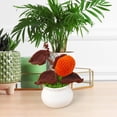 thumbnail image 4 of Puntoco Caqui, Adornos De Plantas En Macetas De La Serie De Frutas Tejidas A Mano,Decoración Hogareña, 4 of 5