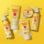 Burt's Bees Deep Cleansing Cream with Soap Bark and Chamomile, 6 oz