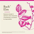 thumbnail image 3 of Remedios florales originales de Bach, esencia floral, olmo, 20 ml, 3 of 6