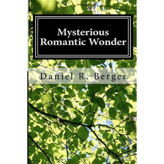 Pre-Owned Mysterious Romantic Wonder: Engaging Philosophy (Paperback) by Daniel R Berger Ph D
