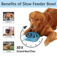 thumbnail image 2 of Cuencos para perros MateeyLife con alimentación lenta, 2 unidades, para mascotas de todas las razas, 2 of 8