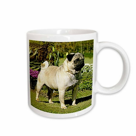 

3dRose Fawn Pug Ceramic Mug 15-ounce