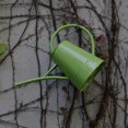 thumbnail image 3 of Kearding Regadera Flor Maceta Maceta Boca larga Estilo vintage Botella para interiores y exteriores Herramientas de riego Cultivo de vegetales Jardín y Patio Rojo, 3 of 6