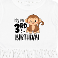 thumbnail image 4 of Inktastic Monkey Its My 3rd Birthday Girls Toddler Dress, 4 of 5