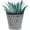 Charcoal Grey, variant on Headwind Ironlite Leighton Collection – 4" Charcoal Decorative Plant Pot for Porch Decor Flower Pots Indoor & Outdoor – Perfect for Patio & Garden Décor Use by Robert Allen