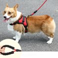 thumbnail image 2 of Saddle Dog Harness Reflective Adjustable Pet Harness No Pull Walking Training Small Large Big Dogs Chest Strap Product, 2 of 5
