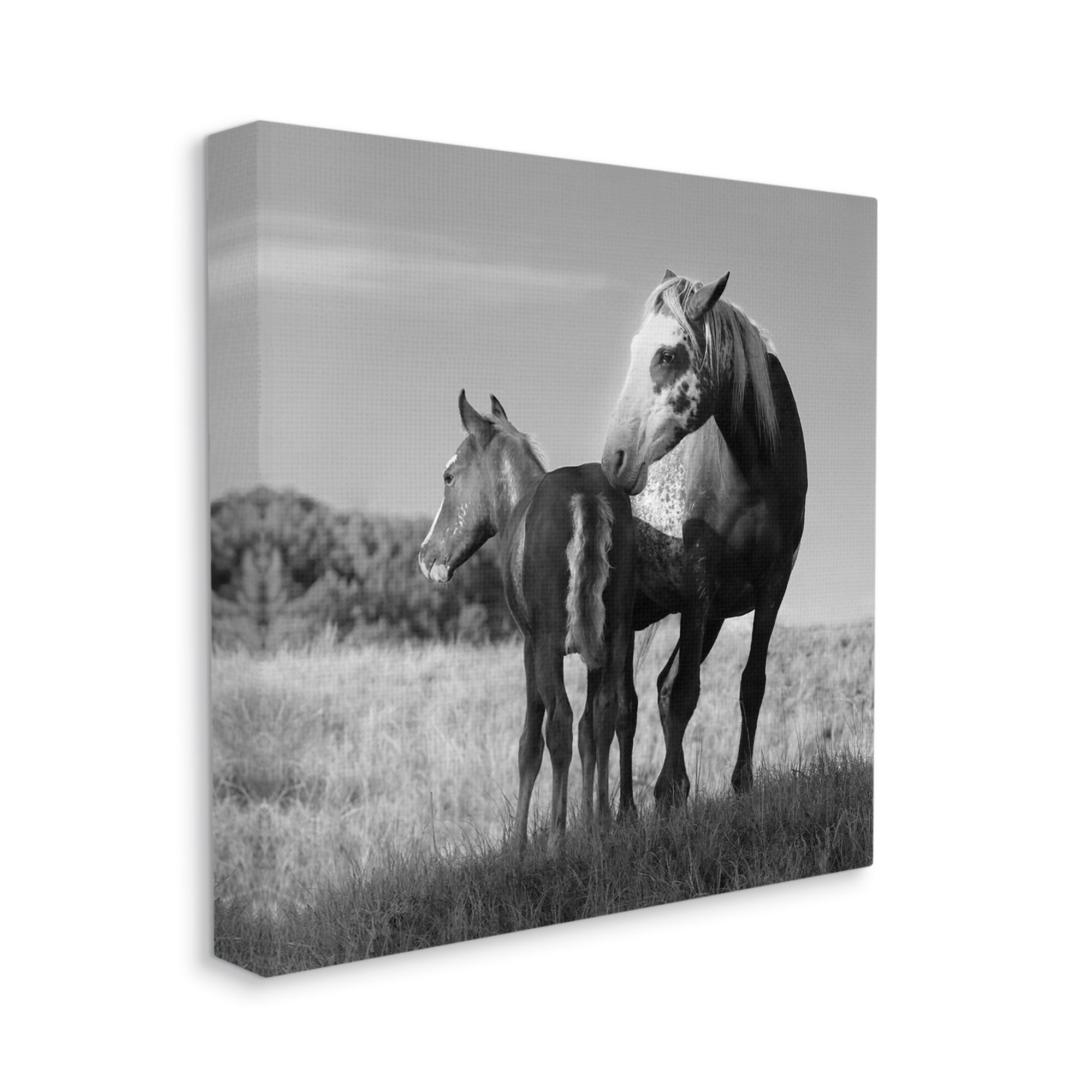 Stupell Industries Horse & Foal Photography Landscape Photography Gallery Wrapped Canvas Art Print Wall Art, 17 x 17