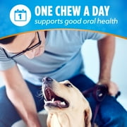 Purina Dentalife Plus Immune Support Chicken, Apple and Blueberry Flavor Dental Chews for Dogs