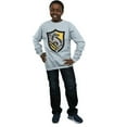 thumbnail image 4 of Harry Potter Boys Hufflepuff Crest Flat Sweatshirt, 4 of 5