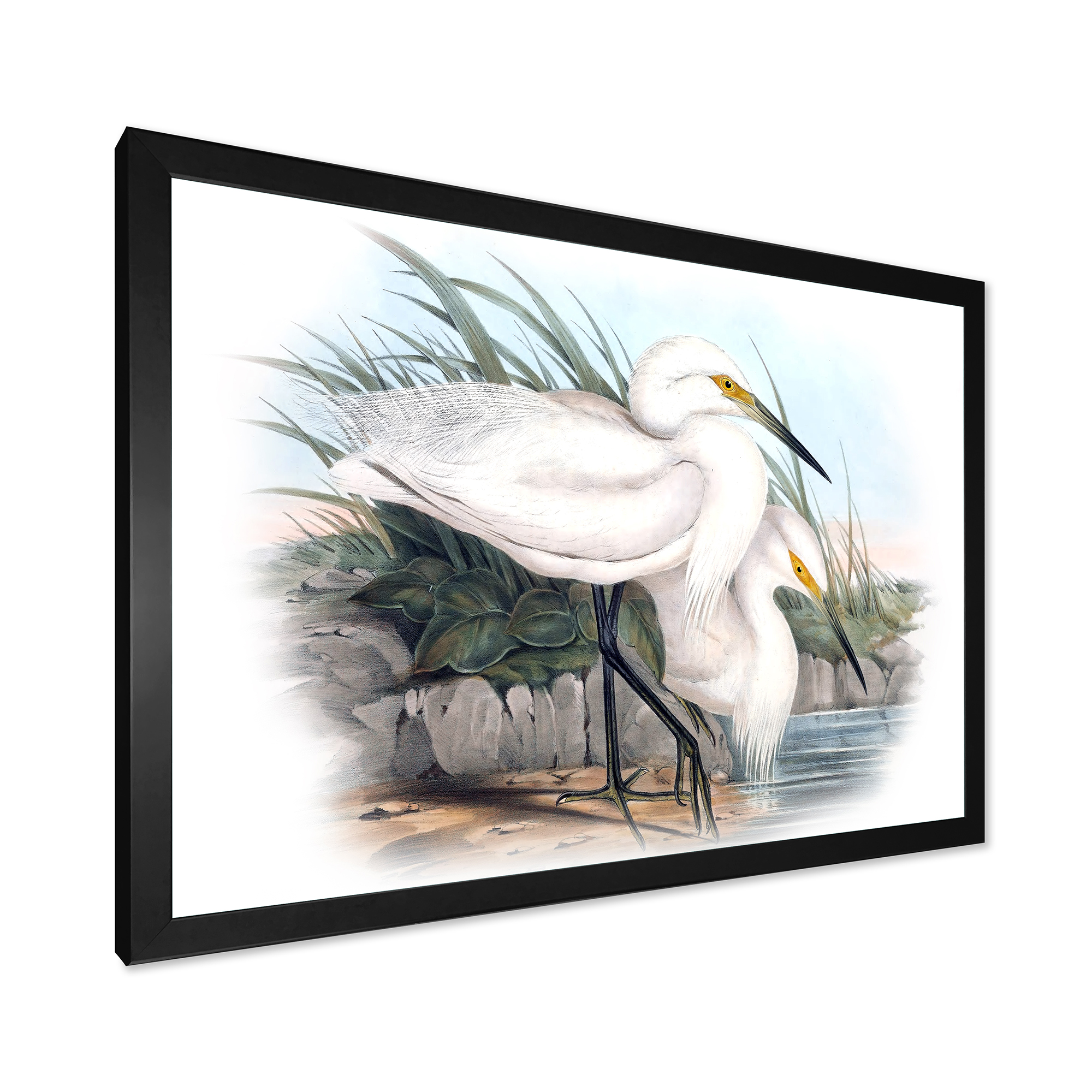 Designart 'Ancient Bird Life I' Traditional Framed Art Print
