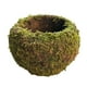 thumbnail image 1 of Bola de musgo de estilo japonés, maceta de jardinería con planta en maceta, maceta de musgo, 1 of 5