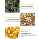 thumbnail image 3 of Crema Blanqueadora Antimanchas, Pigmento, Quitamanchas, Manchas Oscuras, Crema Para Quitar Pecas ANGGREK  Otros, 3 of 8