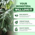 thumbnail image 2 of Monstera Plant Food for Monsteras and Philodendrons, Tropical Houseplant Liquid Fertilizer 8 oz (250mL), 2 of 7