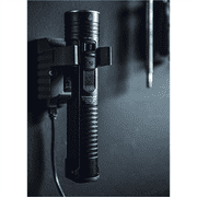 Stinger 2020 120v Ac/12v Dc 1 Holder Black