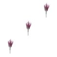 thumbnail image 2 of mmirethe 2x Artificial Plant And Wide Range Of Uses For Any Space Realistic red lotus 3Set, 2 of 6