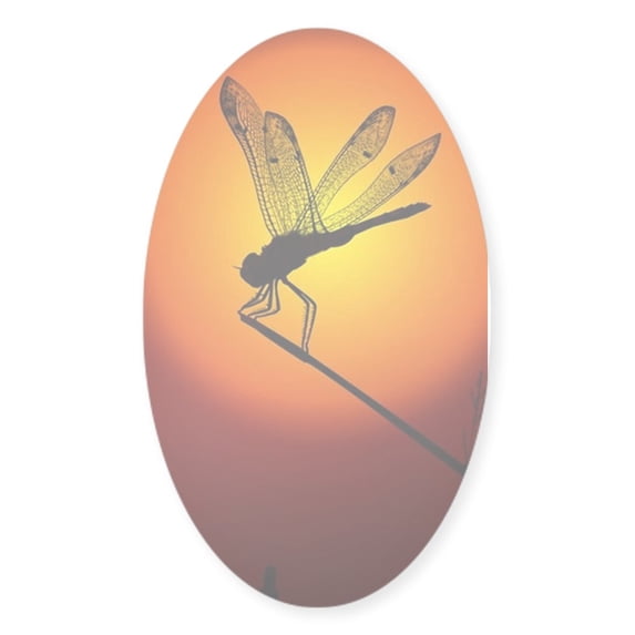 CafePress - Sunset Dragonfly - Sticker (Oval)