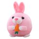 thumbnail image 3 of Juguete Peluche para en Activo Bolas Masticables para Que Juegan en Interiores (conejo Rosa), 3 of 6