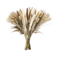 thumbnail image 2 of Dongrere Natural Dried Pampas Grass Bouquet, Neutral Toned Dried Floral, Phragmites Dried Flowers for Home, Wedding Centerpieces, Farmhouse Vases, 15" - 17", 2 of 6