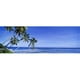 Panoramic Images PPI69547L Affiche de l'Île Seychelles sur - 36 x 12 – image 1 sur 1