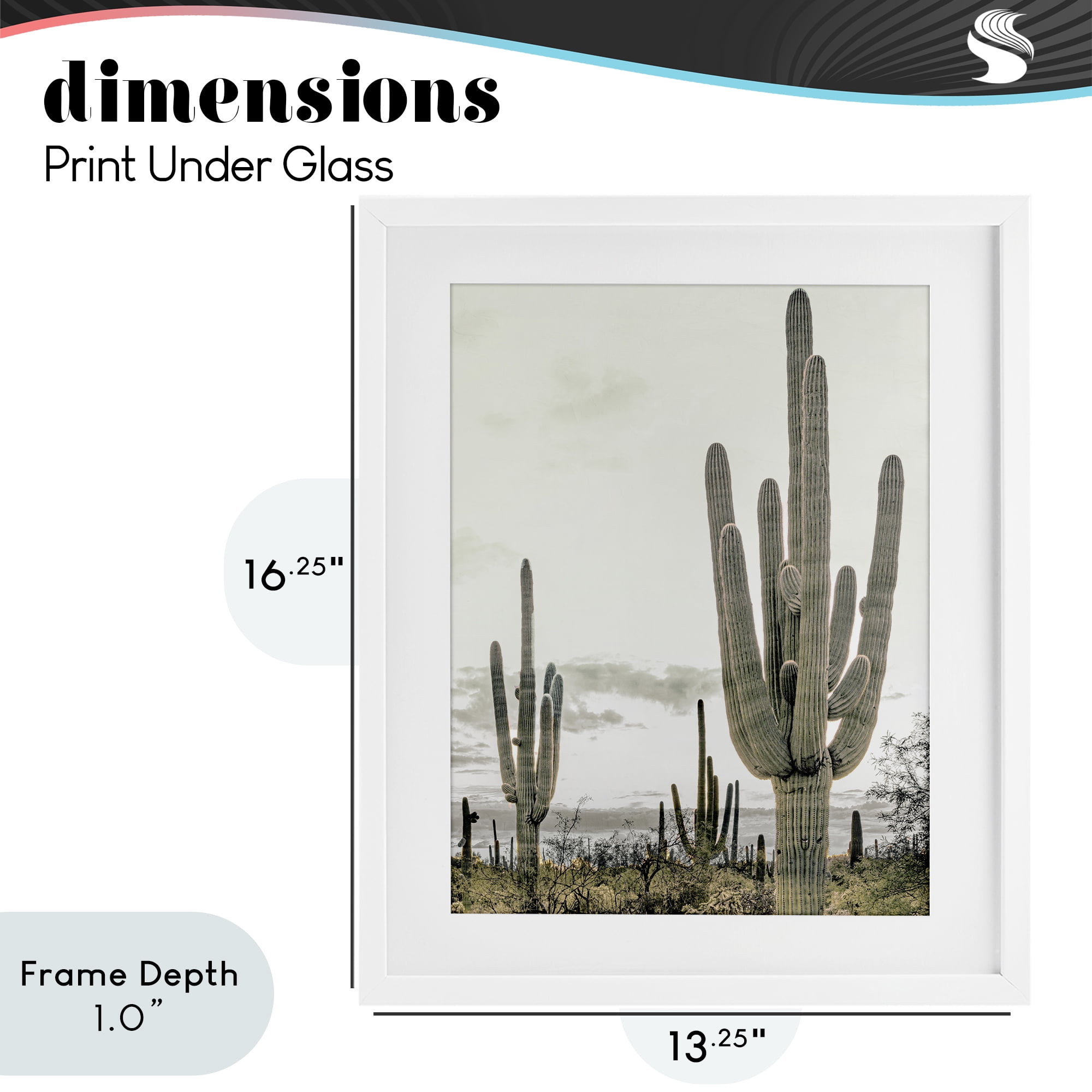 Stupell Industries Subdued Desert Cacti White Framed Print Under Glass, design by Kim Allen
