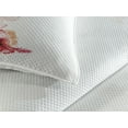 thumbnail image 3 of Ambesonne Nature Quilted Coverlet 3 Pcs, Pastel Nature, King Size, White Red Green, 3 of 4