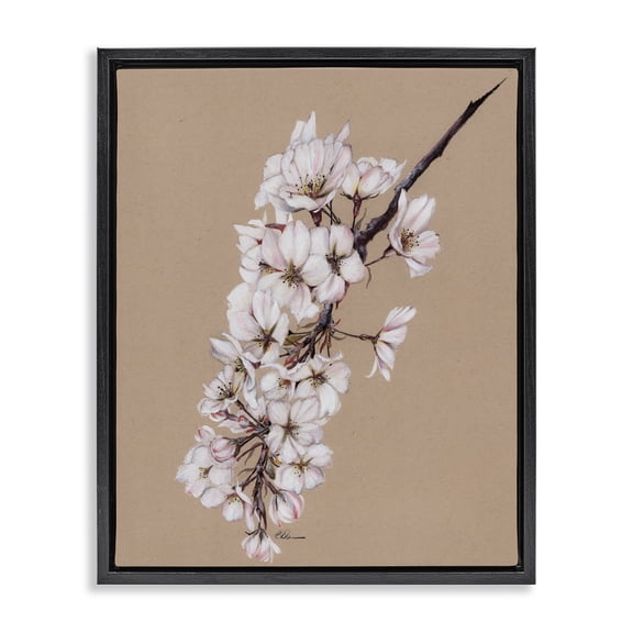 Stupell Industries Shabby Chic Delicate Spring Apple Blossoms Black Floating Frame Canvas Art, 17 x 21, by Cady Driver