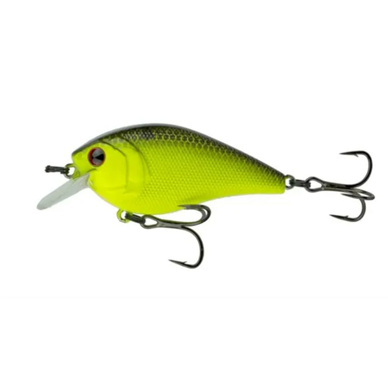 Lure Plus Fish it Easy!! DVDシリーズ 6本セット DVDマガジン『FISH it EASY! 6』発売中！｜伊豫部健×内山幸也