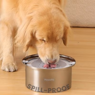 PawsPik Spill Proof Stainless Steel Dog Bowl, 4-L, Large