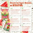thumbnail image 3 of Bubblegum Kids Sugar-Free Gum, Healthy Xylitol, Watermelon, 3 Pack, 165 Pieces, 3 of 5