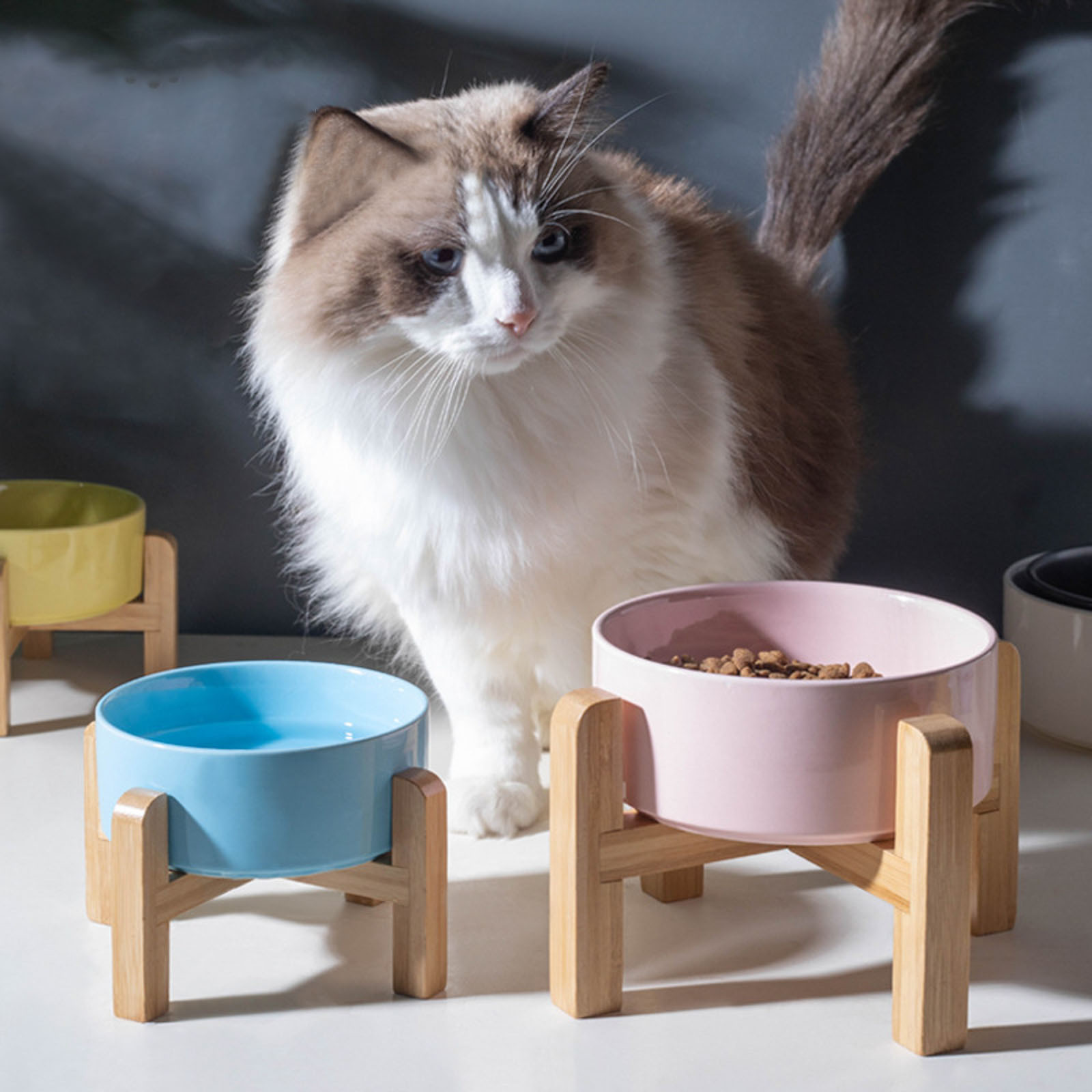 Elevated Ceramic Dog Bowl with Stand, 12OZ Raised Dog Food and Water Dish with Anti- Rubber Base, Anti Vomiting Pet Feeding Bowl for Small Dogs, Puppies, and Cats