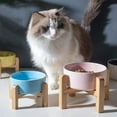 thumbnail image 3 of Elevated Ceramic Pet Feeding Bowls with Stand for Cats and Small Dogs Vomit Food Water Dishes, 3 of 6