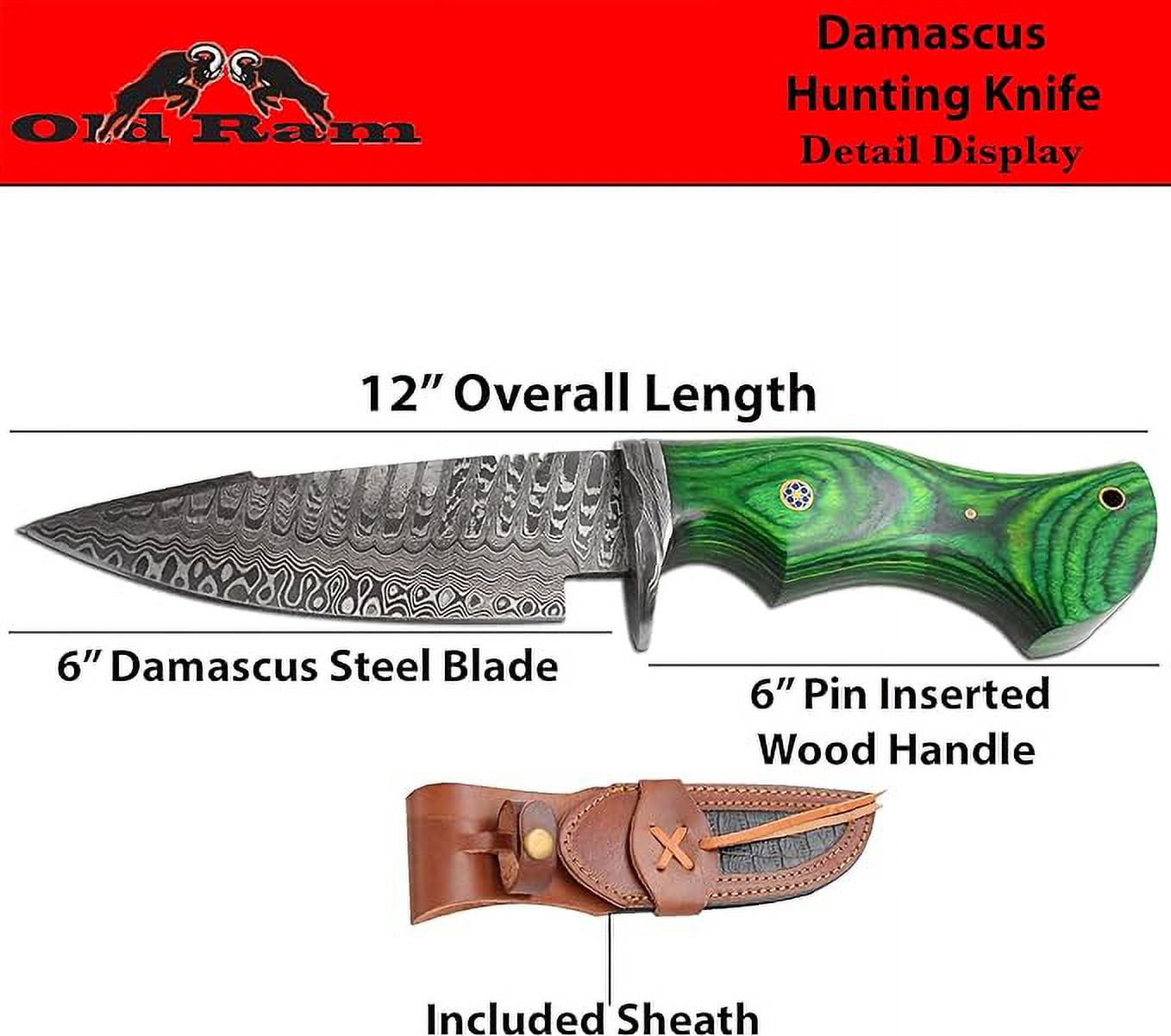 Old Ram Damascus Buck Knife with Sheath - 6" Drop Point Hunting Knife with Leather Sheath (Green Wood)
