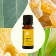 thumbnail image 3 of Plant Therapy Immune Aid Essential Oil Blend 10 mL (1/3 oz) 100% Pure, Undiluted, Natural Aromatherapy, 3 of 8