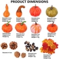 thumbnail image 3 of Decorations Vegetables Pumpkins Small 50pcs Home And Ornament, 3 of 5
