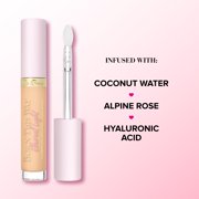 Too Faced Born This Way Ethereal Light Smoothing Concealer 0.16oz Biscotti New