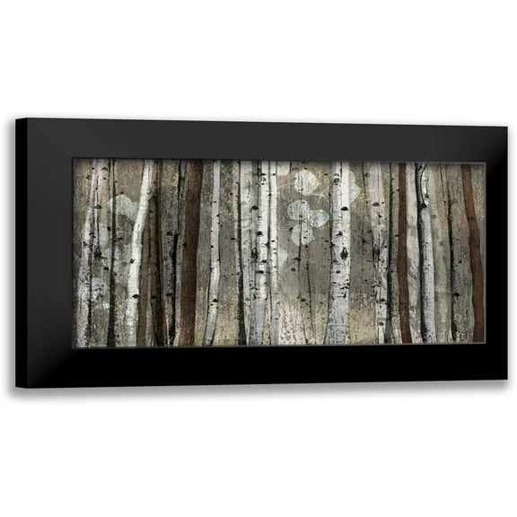 Venter, Tandi 14x9 Black Modern Framed Museum Art Print Titled - Silver Lining