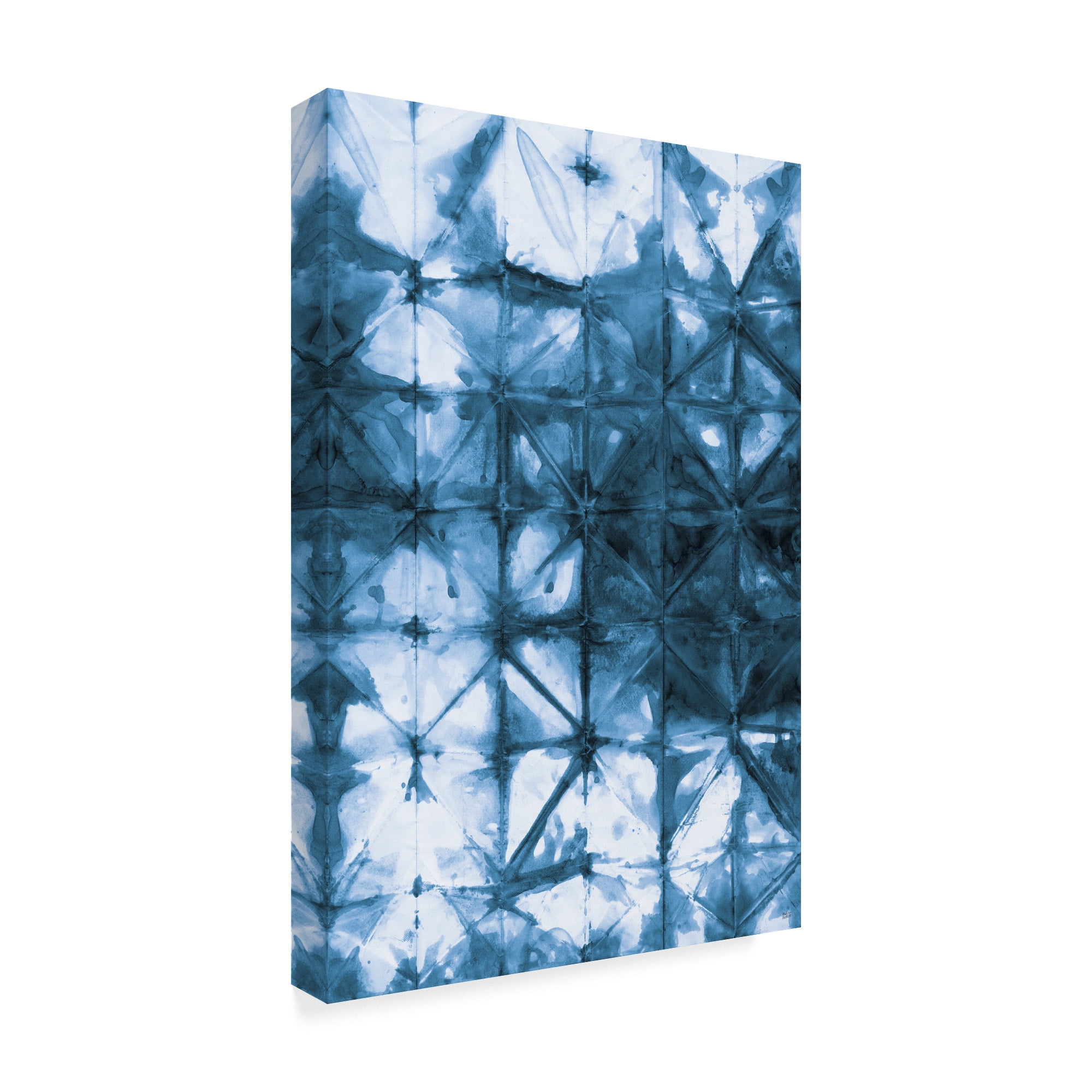 Trademark Fine Art 'Kanari IV Indigo' Canvas Art by Melissa Averinos
