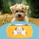 thumbnail image 3 of de material acero Inoxidable de Tazón de Perro con Base de Goma Antideslizante para Alimentos O Agua Perfecto para Perros Perrito Gato Y - Amarillo, 3 of 9