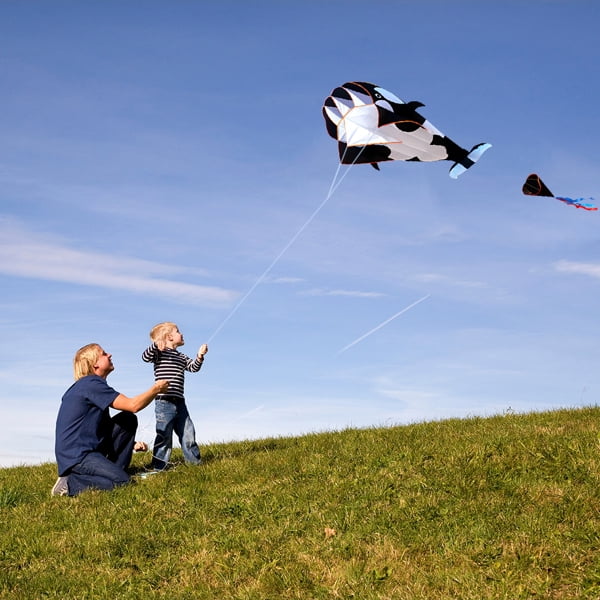 KEINXS 3D Kite Large Black Dolphin Breeze Beach Kites with Huge Frameless  Soft Parafoil Giant,Gift for Kids,Family