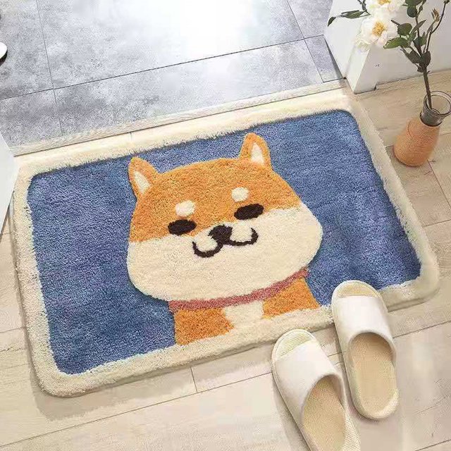 Front Door Rug,Indoor Door Mat Anti Entrance Mat Indoor Door Mat Sleek Aesthetic