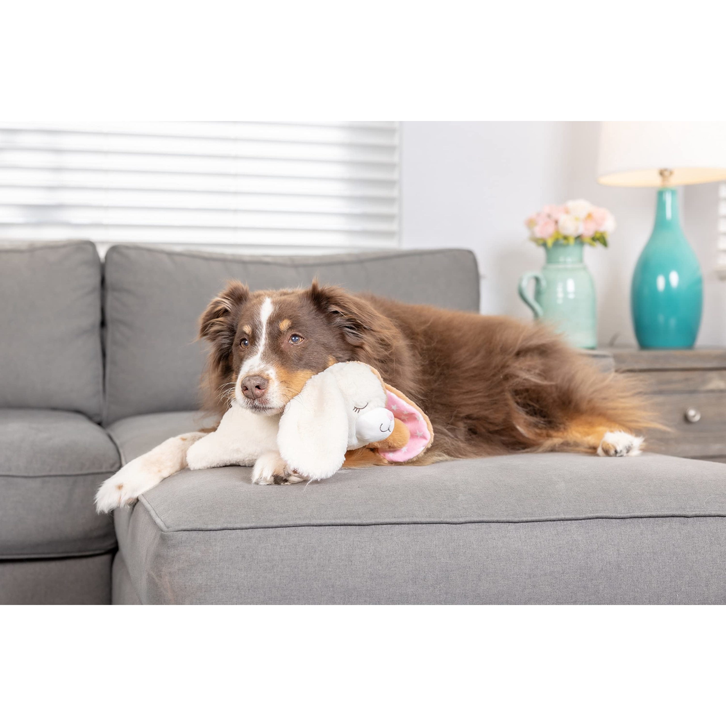 Downtown Pet Supply Hearbeat Comfort Dog Toys, Rabbit Plush Dog Toy