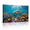 B, variant on XaaKee Sea Turtle Azure Gradient Art Prints Deep Blue Ocean Canvas Prints Wall Art Inner Framed 18*12Inch