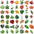 thumbnail image 2 of Adhesivos con hojas y hojas para álbumes de recortes botánicos, resistentes al agua, 50 unidades, 2 of 2