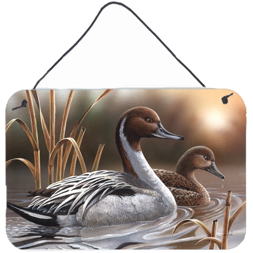 Carolines Treasures PTW2060DS812 Pintails Wall or Door Hanging Prints 8x12 multicolor