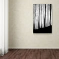 thumbnail image 3 of Trademark Fine Art "Black Lines" Canvas Art by Philippe Sainte-Laudy, 3 of 3