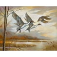 thumbnail image 2 of Manning, Ruane 32x26 White Modern Wood Framed Museum Art Print Titled - Pintails, 2 of 4