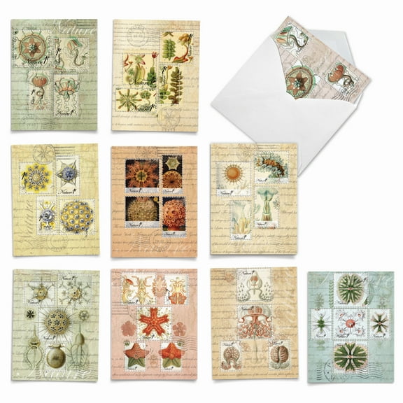 Pack of 10 All Occasion Blank Cards with Envelopes (4 x 5.12 Inch) - VINTAGE NATURE M2353OCB